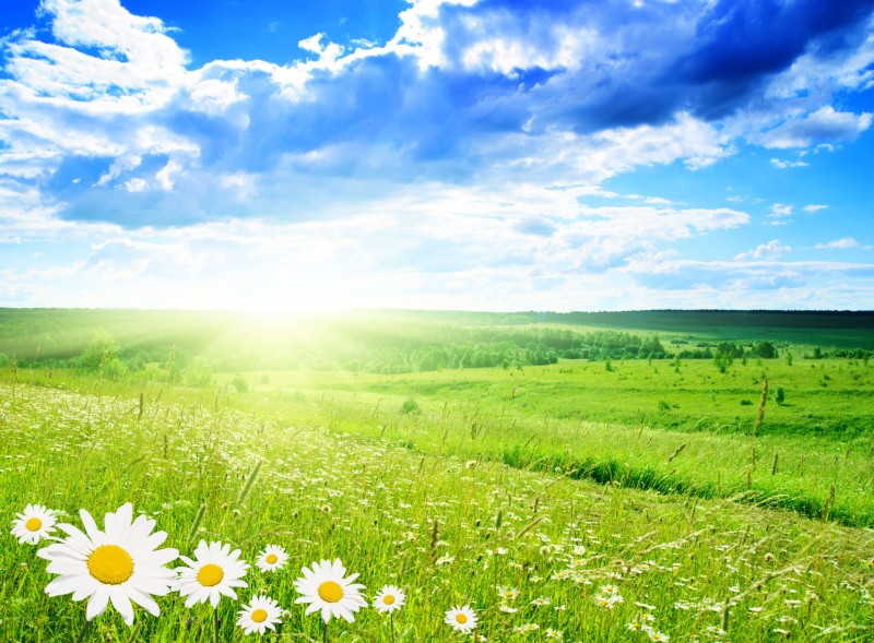 Giustizia per l'ambiente