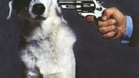 Rispettiamo i nostri animali