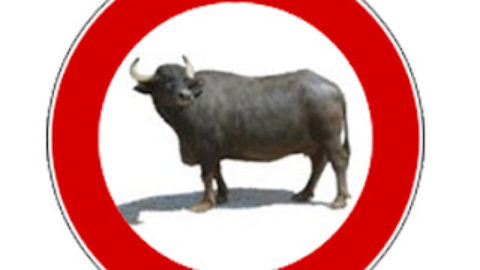 Attenzione alle bufale del web!