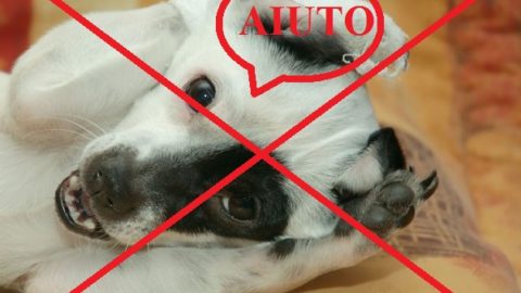 FIDUCIOSI PER IL CAMBIAMENTO
