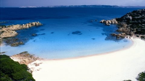 VENDESI PARADISO TERRESTRE