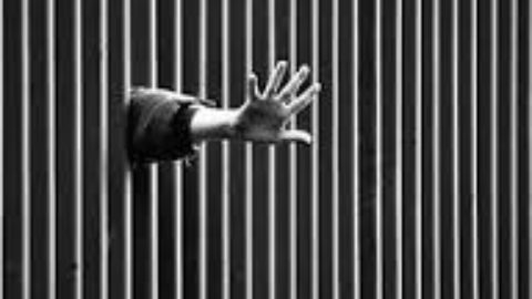 Gli occhi della libertà