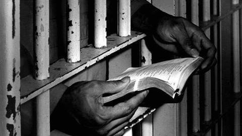Leggere è libertà