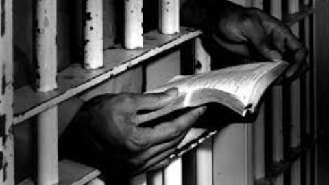 Liberi attraverso alla lettura