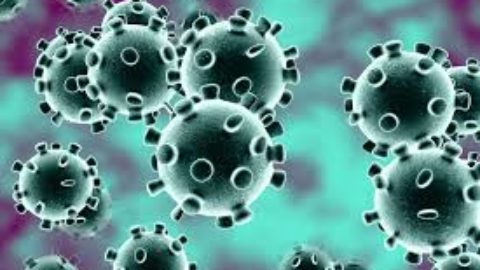 CORONAVIRUS: LA CELEBRITÀ DEL MOMENTO